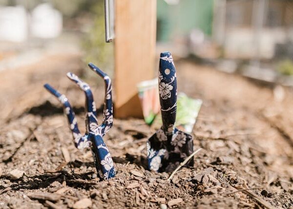 Utilisation Géotextile Jardin Et Btp